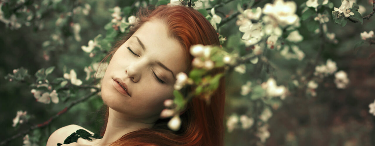 Food Gallery Food Gallery