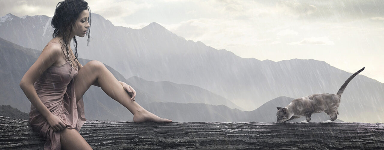 Gallery One Gallery One